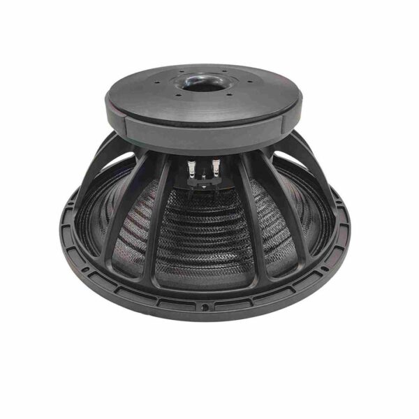 Speaker Ringi Ndonga 2500w